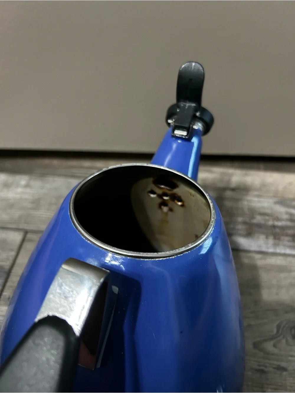 Le Creuset enamel whistling